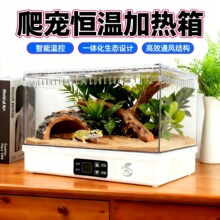 �،m�ؿط�β��B�������a�������������䌙�����쾰��