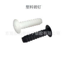 �����Tᔿ��ۼҾ�ɳ�l���^T������Nᔿ۰�ᔹ̶������B�Ӽ�35MM