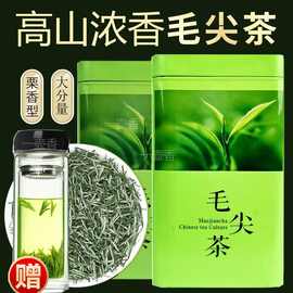 毛尖茶叶2023新茶春茶绿茶信阳绿茶茶叶浓香型500