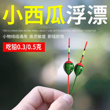 西瓜漂小物钓浮漂立式小鱼漂高灵敏溪流钓马口白条可爱微物小短漂