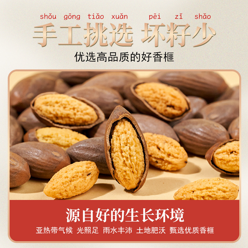 Torreya Seeds Xiang Fei Zi Dried Chinese Herbal Snack 100g Canister key features