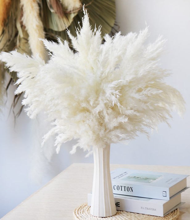 5 개의 큰 흰색 갈대