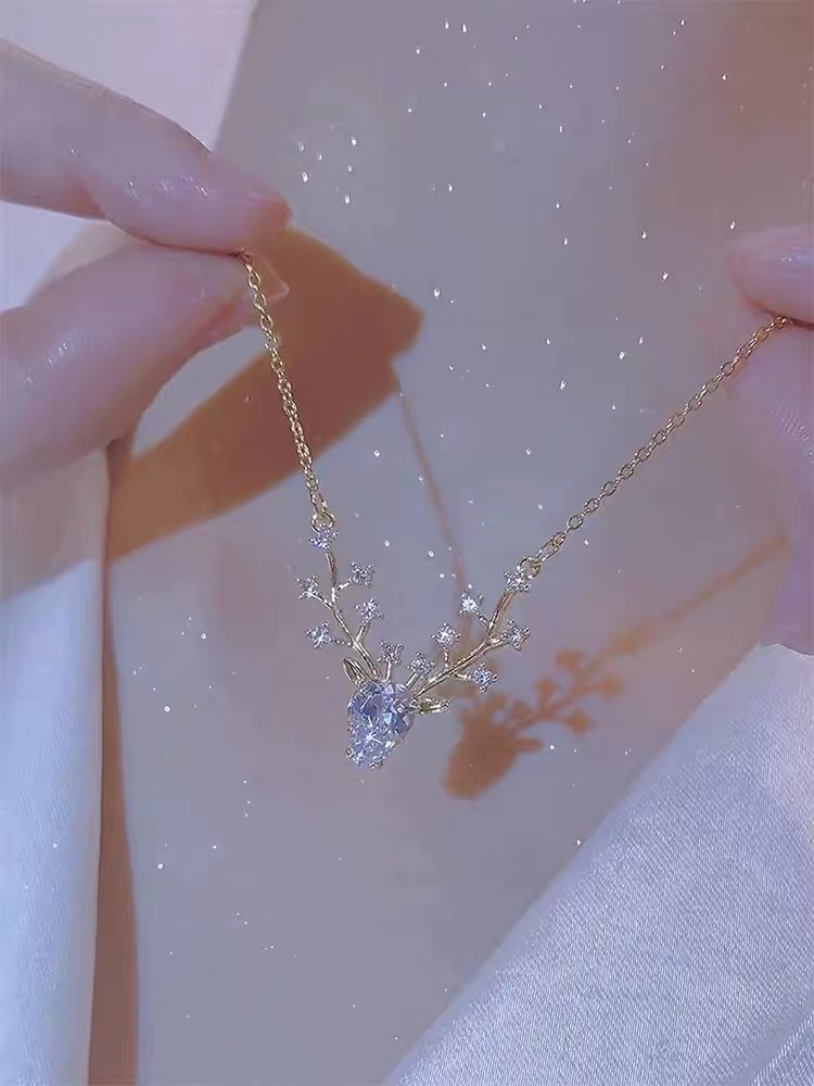 IMG_6386(20220425-173952)