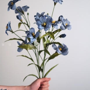 ���¿�͏d��ͩ���������ٻ���֦�廨�[�O�ҕ���b[��