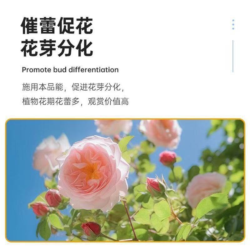 魚タンパク質水溶性肥料、アミノ酸、果物、野菜、花、一般葉面農業用養液、発根剤、魚腸肥料|undefined