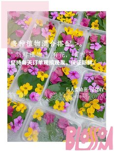ֲ������Ⱦ��������ӡ�ֹ�DIY�H��Ȥζ��Ӱײ��ߴ�
