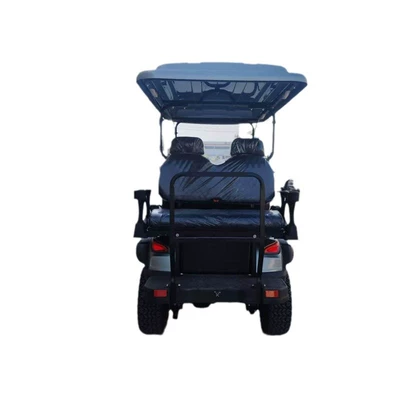 and Vacation Use, Elektrikli qolf avtomobilləri