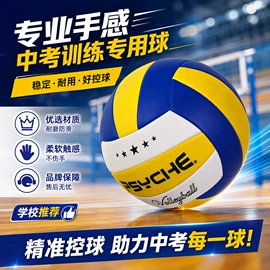 篮球;足球;排球