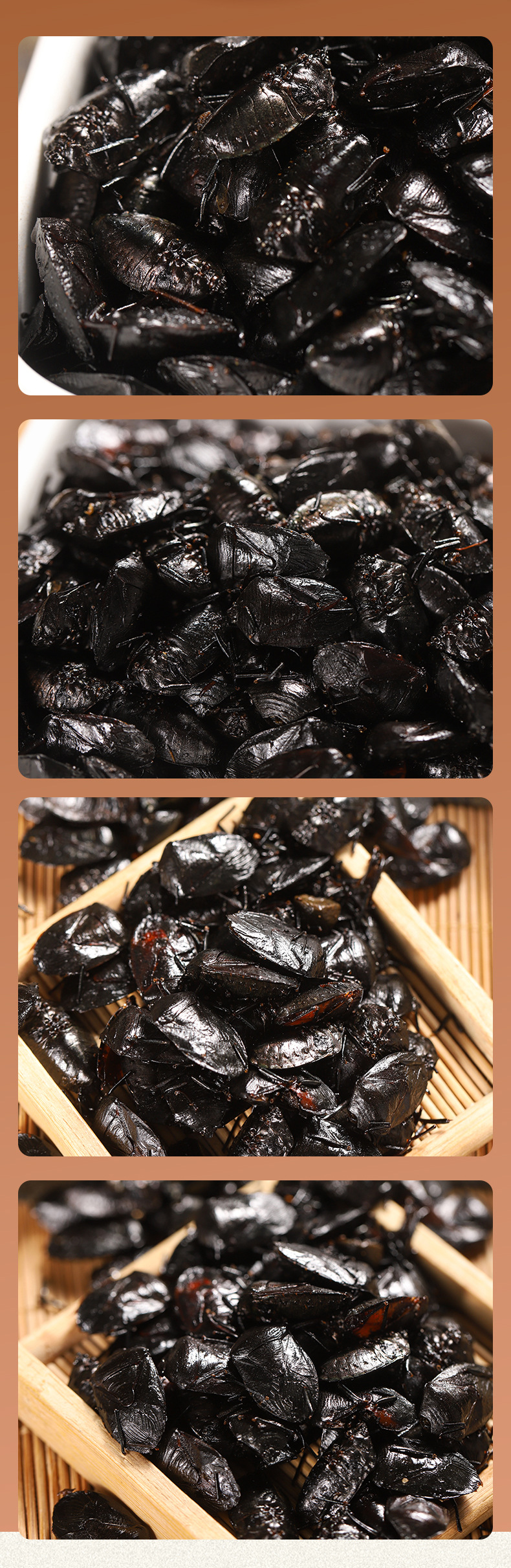 Jiu Xiang Chong (Aspongopus chinensis) — Dried TCM Herb, 500g Powder quality and texture