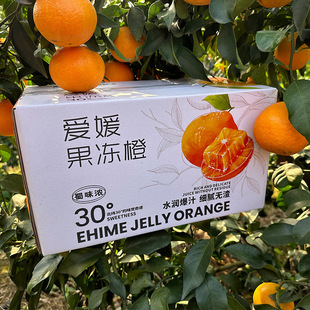 �Ĵ�üɽ�״����¹�����38̖�����Ȯ������r���ӬFժ�F�l8����1��