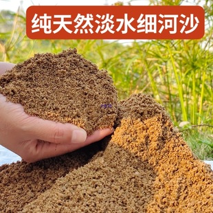 ��Ȼ��ˮ��ɳ�B���Nֲ�����ּ��Sɳ������������~�׵�ɳ���Bԇ�