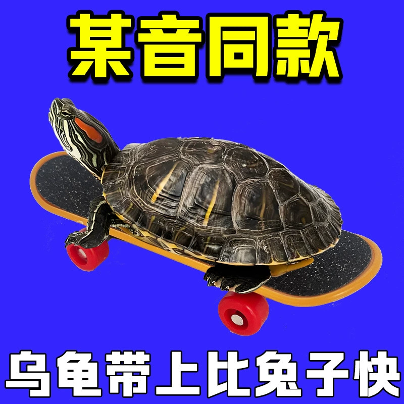 Скейтборд, игрушка для пальцев, питомец, антистресс, DIY