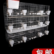 lӻ\Ʒ12λBֳ䌦ֳ\Bֳ\\ӌ