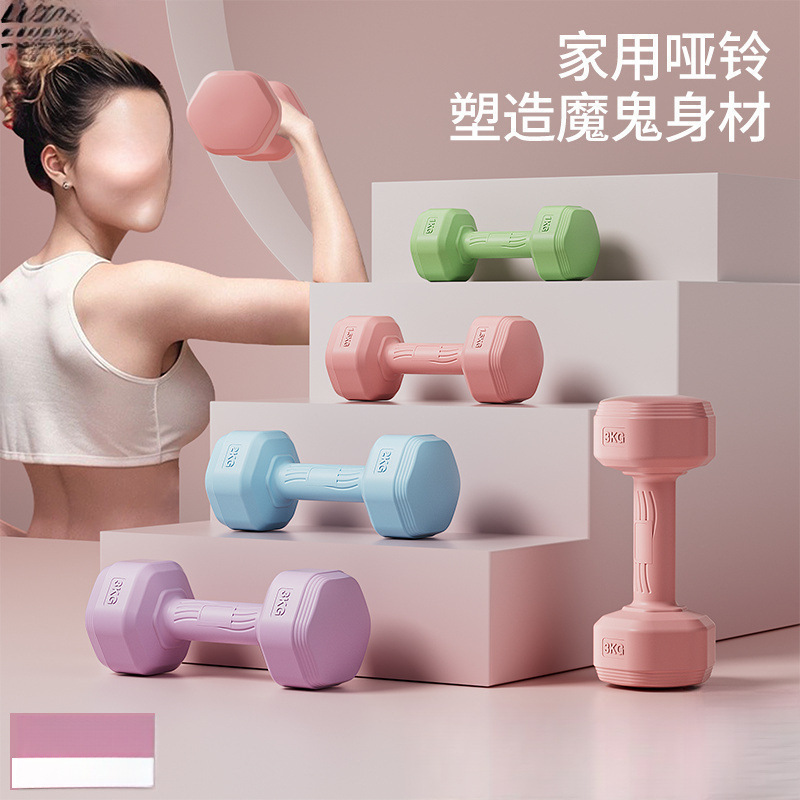 Dumbbells for Women, Fitness Equipment for Home, Slim Belly Barbell, Kettlebells, Children, Teenagers, Female Small Dumbbells, a Pair