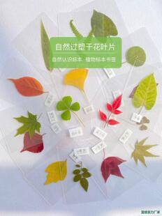 �ܷ�ֲ���~�}�������~�˱��׃��@��ͯdiy���ϸɻ�ins��Ʒ����