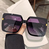 Fashionable pony, sunglasses, glasses solar-powered, new collection, wholesale