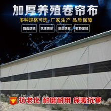 �S��ֱ���Bֳ��������������ů�Ӻ���겼ţȦ����Ӻ�͸����ꖲ�