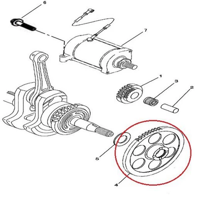 Specifically for Starters – Starter and accessories