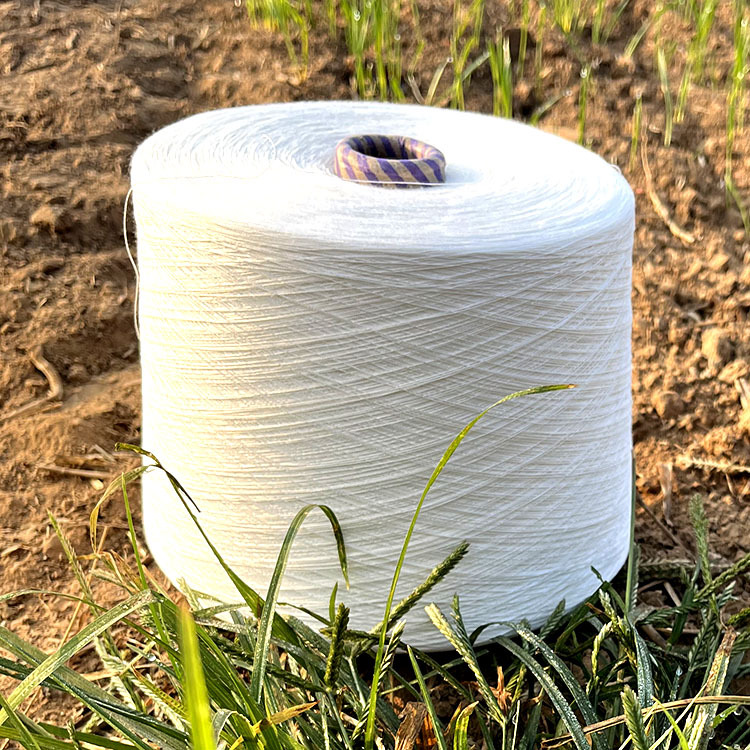 国产莫代尔纱30支32支40支纯木代尔纱32支40支