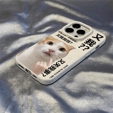 Ӱ؈iPhoneO16promax֙C16pro/16plus/16ɐ15promax