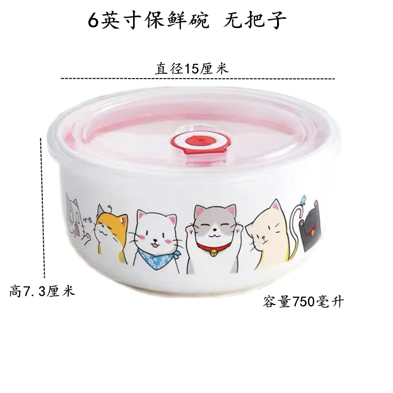 6 인치 신선한 그릇 리 고양이