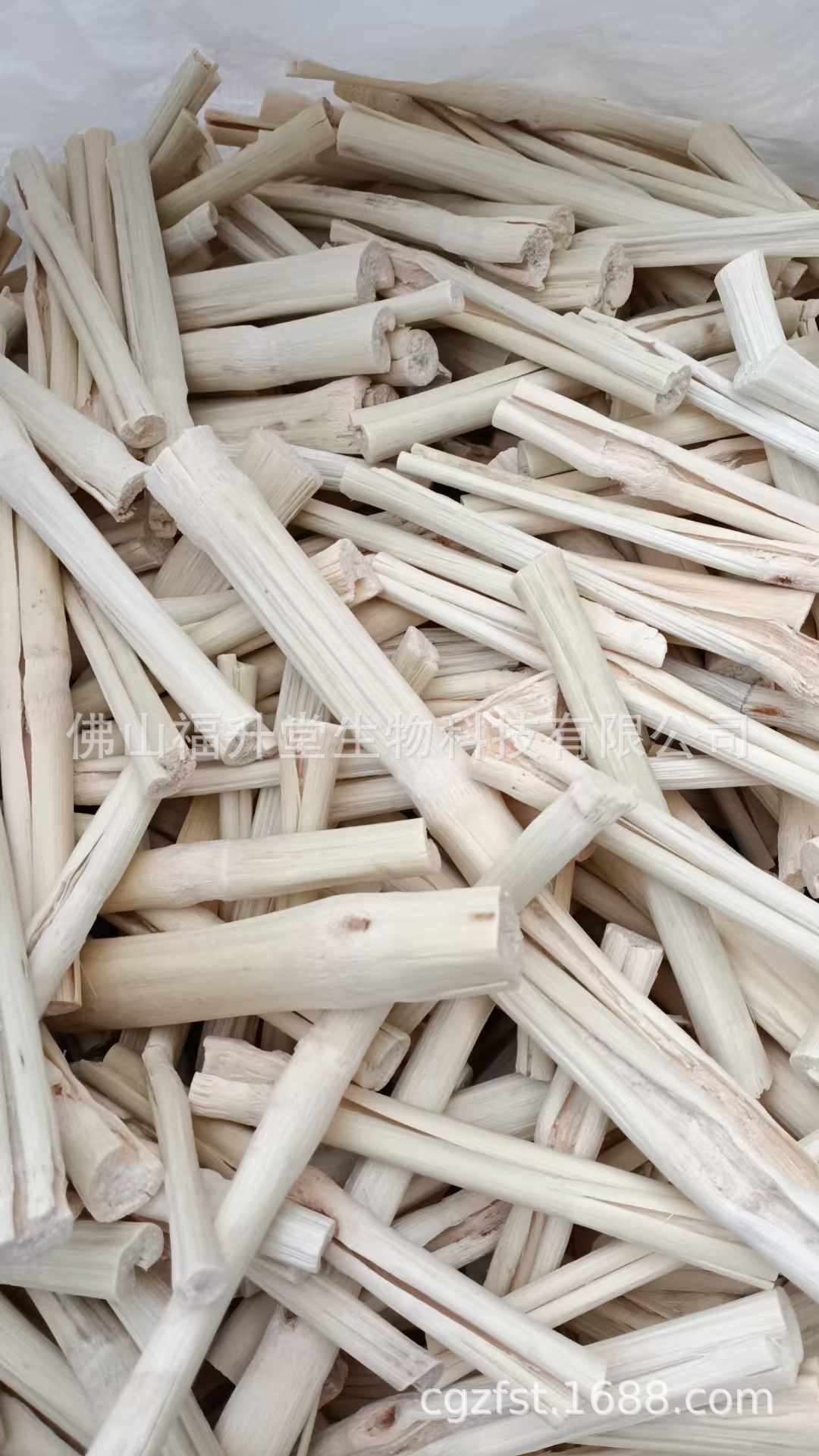 微信图片_20250227215822