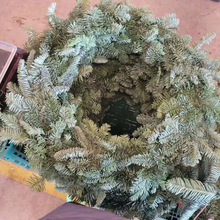 进口鲜活诺贝松圣诞树花环天竺少女柳杉蓬莱真松枝圣诞节装饰绿植