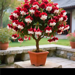 ����x������R�������҃�����\���ذ껨���Ϙ��ļ��_���ͺ�����