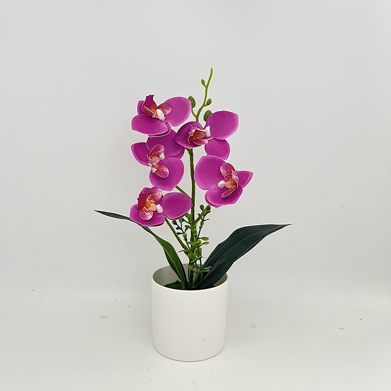 보라색 (높이 31*가로 17cm)