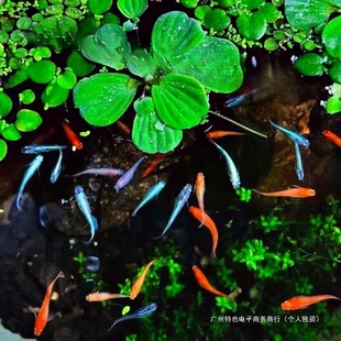 �^�����F�~����ϲ������^�p�~ С���\��С�~�����B���B�~