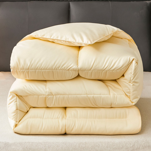 Down velvet quilt, winter quilt, five-star hotel spring and autumn quilt quilt core 8/10 catties thickened warm gift quilt