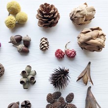 ɻ ֦ɹ޻ɏ׃@ɹdiy޹bĔz