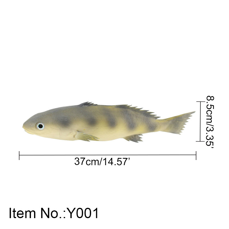 긴 형태의 만다린 물고기