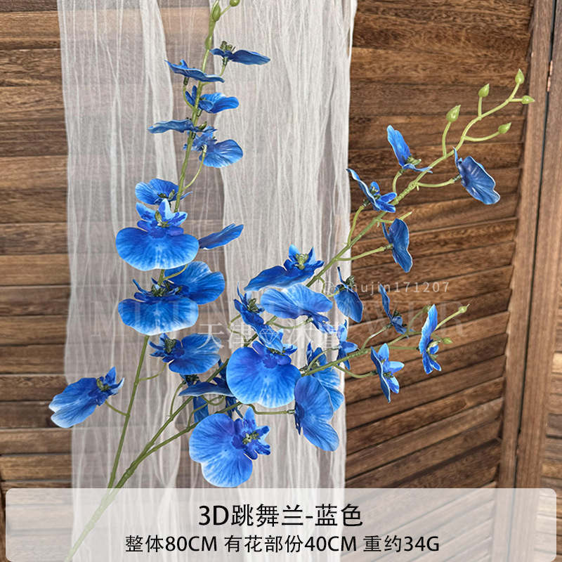 3D 댄싱 오키드