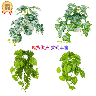 ����ֲ���ٗl�bٻ��Gֲ�G�}��������~�ڒ�G�~���ٵ��@������