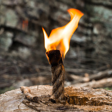 ����¶�I��Ϟ���KҰ��������Ʒ�������yʽ�����K8CM�̿�