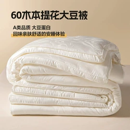 纤维枕;四件套;夏凉被