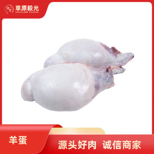 ���򵰃��ɴ����ך���������������ʳ������������������̖