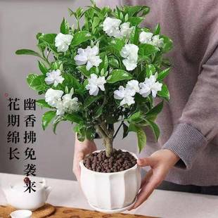 �Iһ��һ���ļ����㻨�������㻨�Gֲ�҃���ͥԺ�̨����ͺ��͟�