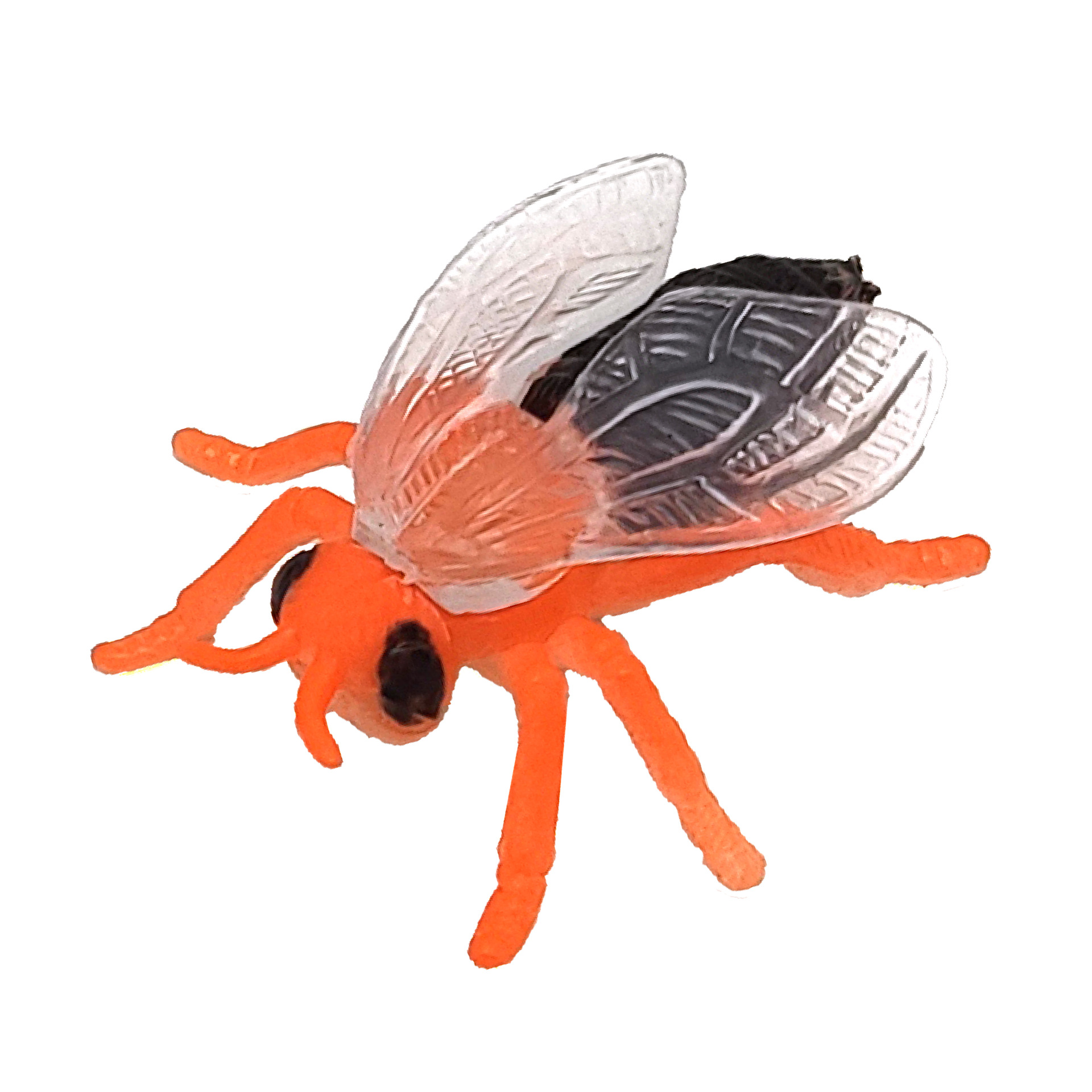 迷你昆虫白底图