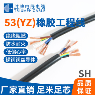 ���� ���̾�53(YZ) �����J�C��о�� �������z��ˮ�������|