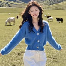 慵懒风蓝色v领针织开衫女2025秋冬新款软糯毛衣小个子外套短上衣