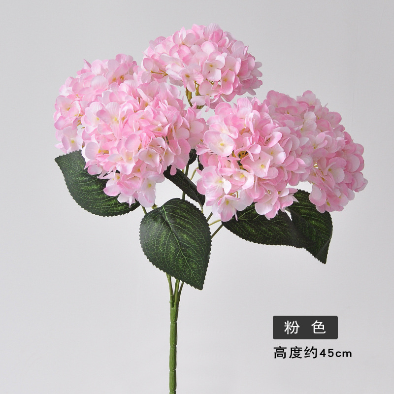 분홍색