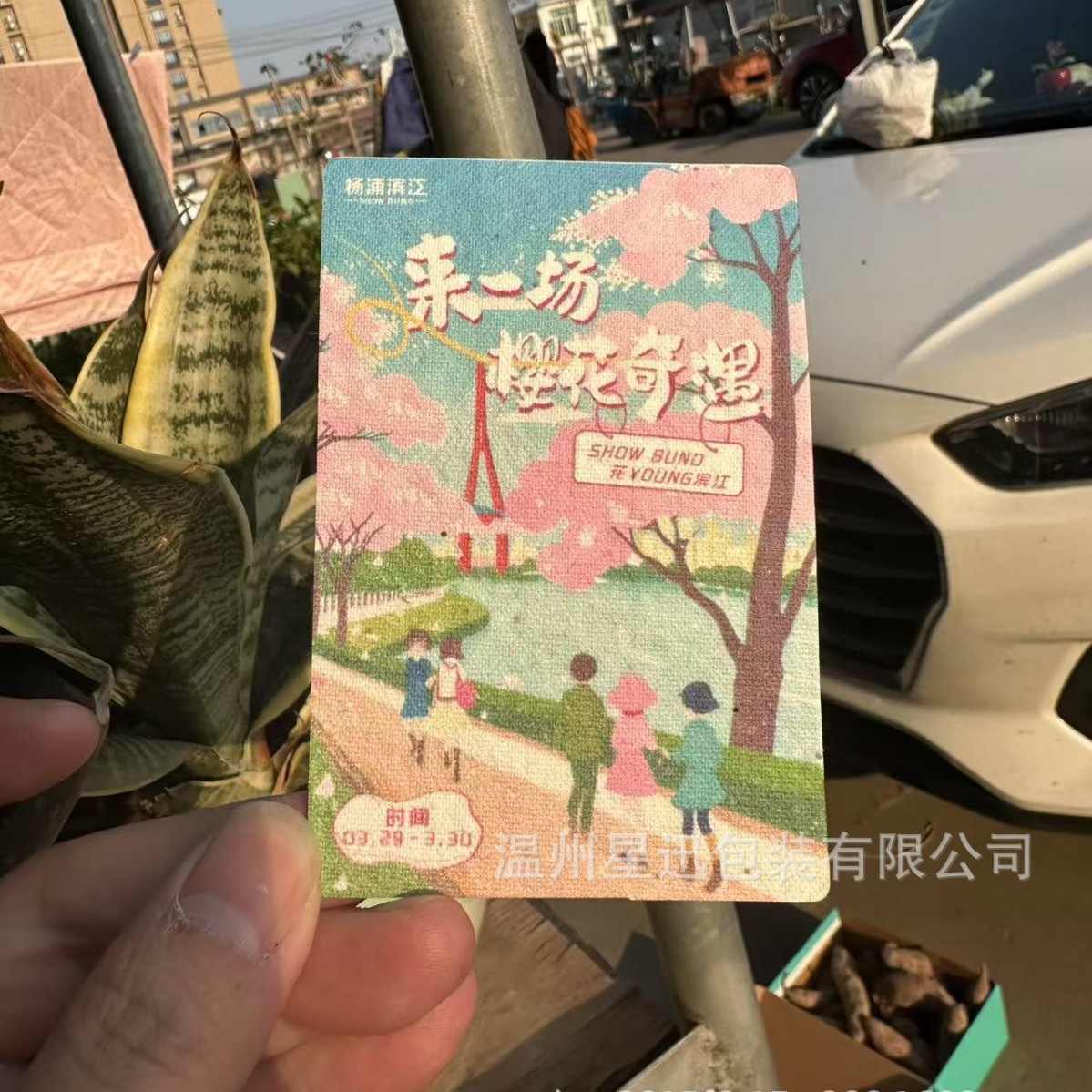 种子纸卡设计制作名片入场券会发芽抽奖券吸水照片明信片印刷制作