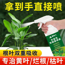 天堂鸟专用肥料家用盆栽营养液观音竹黄叶绿植花卉水培通用液体肥