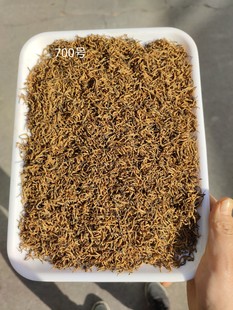 �S����ꖼt��500�˿ڸи�������ǻظ�����