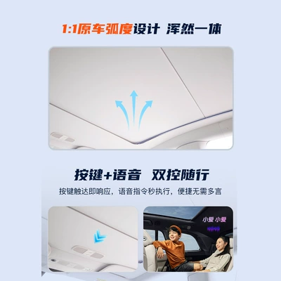 Y/MODEL YL Electric: Tesla Sunroof and accessories