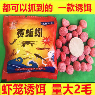 ِ����D���w���r�\���~�\�W����ץ�S�X���q���r�T�D