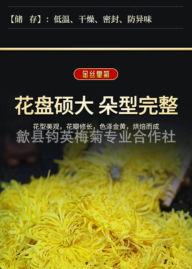 金丝皇菊-大详情页_05.jpg