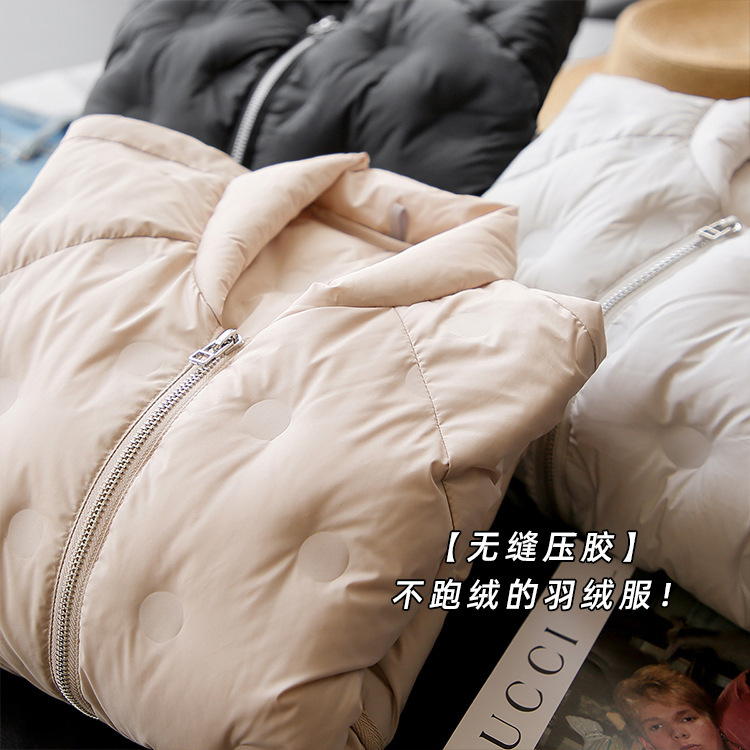 Export Daily Order Seamless Laminated Non-Running Velvet 90 White Duck down Lightweight Stand-Up Collar Casual Elegant Warm down Jacket